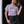 Trophy Wife Tee